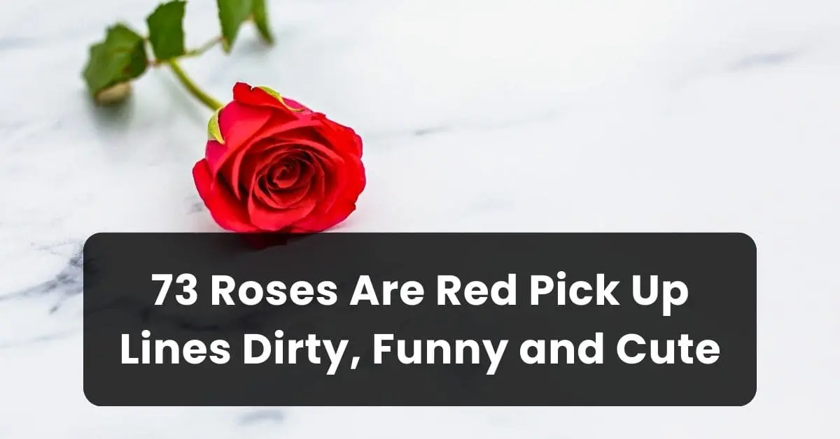 73 Roses Are Red Pick Up Lines Dirty, Funny and Cute Witty Flirt