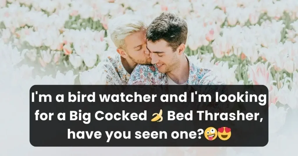 beautiful gay couple describing a gay pick up line